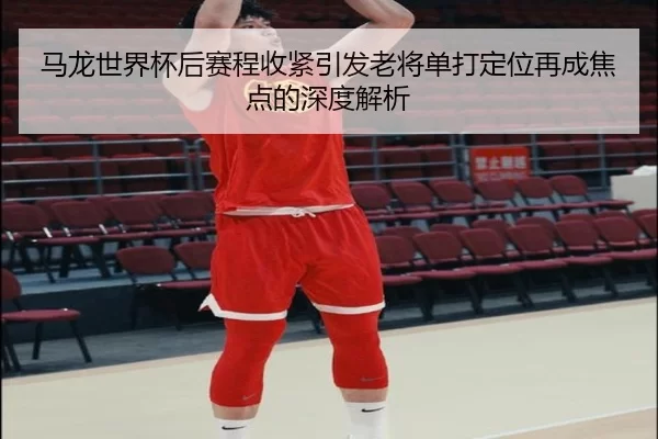 马龙世界杯后赛程收紧引发老将单打定位再成焦点的深度解析